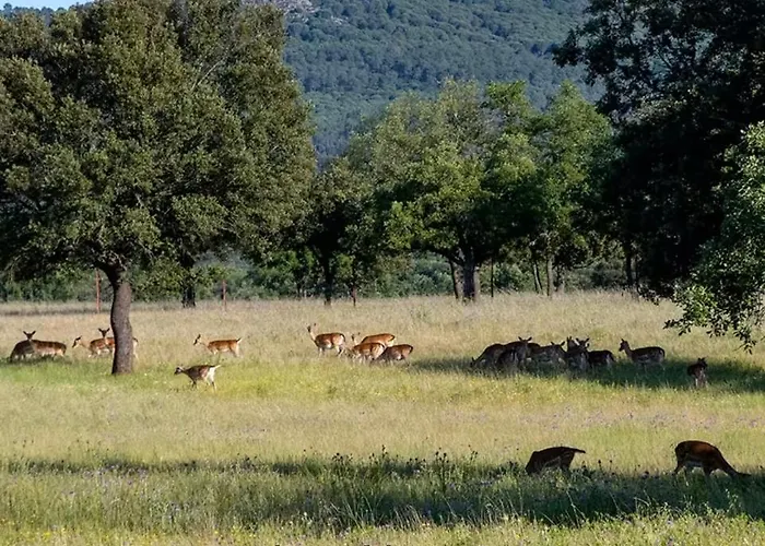 Agua Dulce , Rural Apartment Herrera del Duque